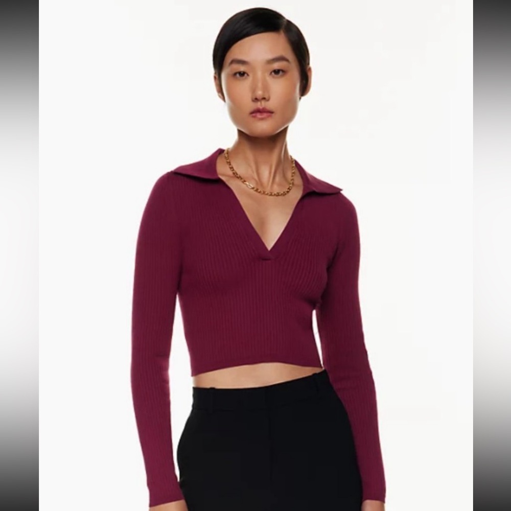 NWOT Babaton Excerpt Sculpt Rib Knit Grapevine Burgundy V-Neck Sweater medium
